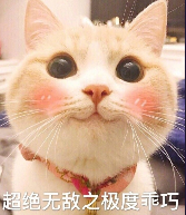 可爱猫咪图片