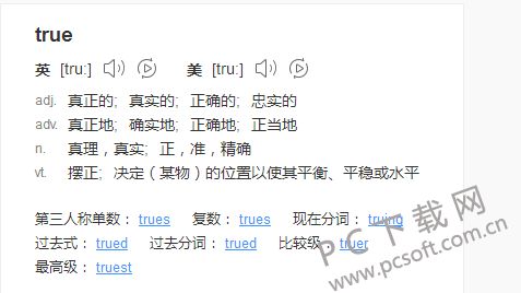 true是什么意思?