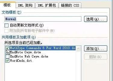 怎么删除Word 2010的MathTye加载项?