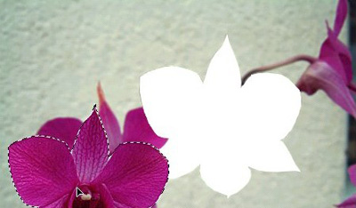 如何使用photoshop的移动工具?photoshop移动工具的使用方法
