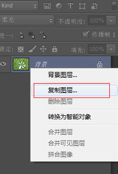 Adobe Photoshop CS6如何给草地调出亮丽颜色?