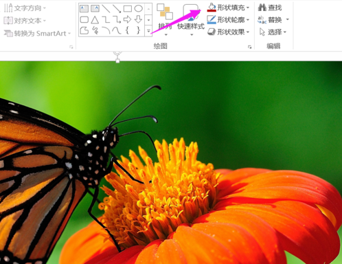 S.png