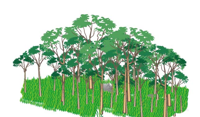 ai画出一片森林画的具体操作讲解