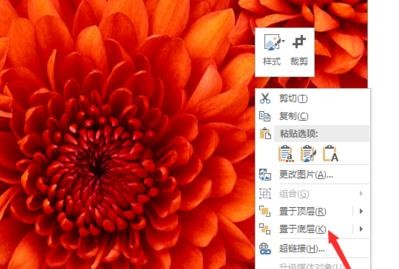 在ppt2013中编辑图片在文字下方的具体操作