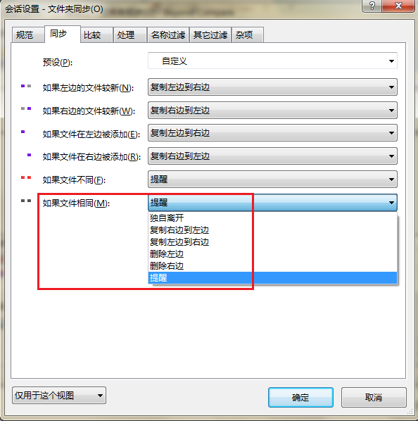 Beyond Compare文件夹同步—会话设置同步页面窗口图例