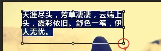 PS文本框详细使用图文讲解