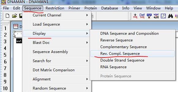 如何用DNAMAN软件得到反向互补的DNA序列