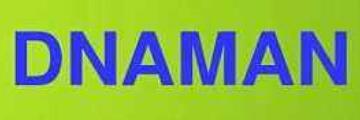 dnaman如何设计引物-dnaman使用教程