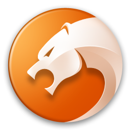 猎豹浏览器6.0.113 官方版