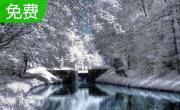 Maine Winter Scenes ScreenSaver1.0