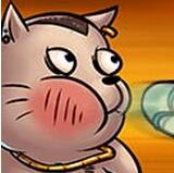 抽打神经猫