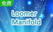 Loomer Manifold段首LOGO