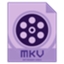 Dimo MKV Video Converter4.6.0 最新版