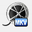 Bigasoft MKV Converter3.7.50 最新版