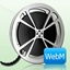 Bigasoft WebM Converter3.7.49 最新版