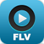 FLV播放器