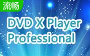 DVD X Player Professional段首LOGO