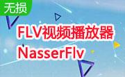 FLV视频播放器NasserFlv段首LOGO