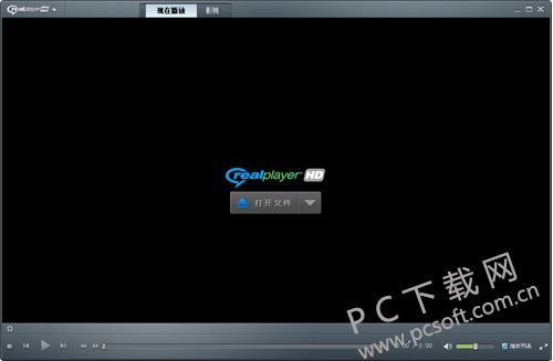 RealPlayer简体中文版 