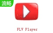 FLV Player段首LOGO