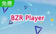 BZR Player段首LOGO