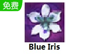 Blue Iris段首LOGO