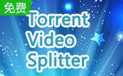 Torrent Video Splitter段首LOGO