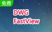 DWG FastView段首LOGO