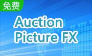 Auction Picture FX段首LOGO