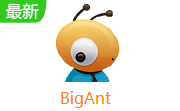 BigAnt段首LOGO