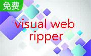 visual web ripper段首LOGO