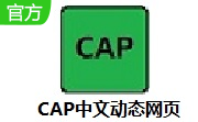 CAP中文动态网页段首LOGO