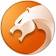 金山猎豹浏览器绿色正式版8.0.0.22226