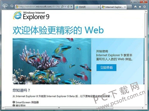 ie9.0(ie900煲机)