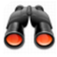 p2psearcher