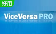 ViceVersa Pro段首LOGO