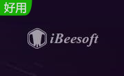 iBeesoft DBackup段首LOGO