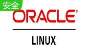 oracle段首LOGO