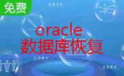 天盾Oracle数据库恢复软件段首LOGO