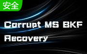 Corrupt MS BKF Recovery段首LOGO