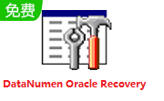 DataNumen Oracle Recovery段首LOGO