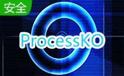 ProcessKO(查杀危险进程) 32位段首LOGO