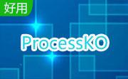 ProcessKO(危险进程专杀工具) 64位段首LOGO