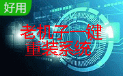 老机子一键重装系统段首LOGO