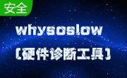 whysoslow(硬件诊断工具)段首LOGO