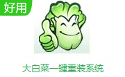 大白菜一键重装系统段首LOGO