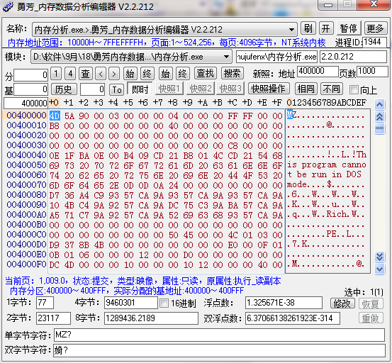 勇芳内存数据分析编辑器截图