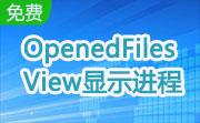 OpenedFilesView显示进程段首LOGO