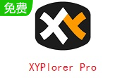 XYPlorer Pro段首LOGO