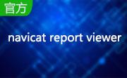 navicat report viewer段首LOGO